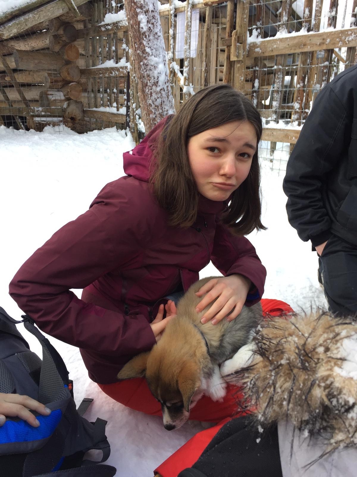 11 Avec un Chiot Husky