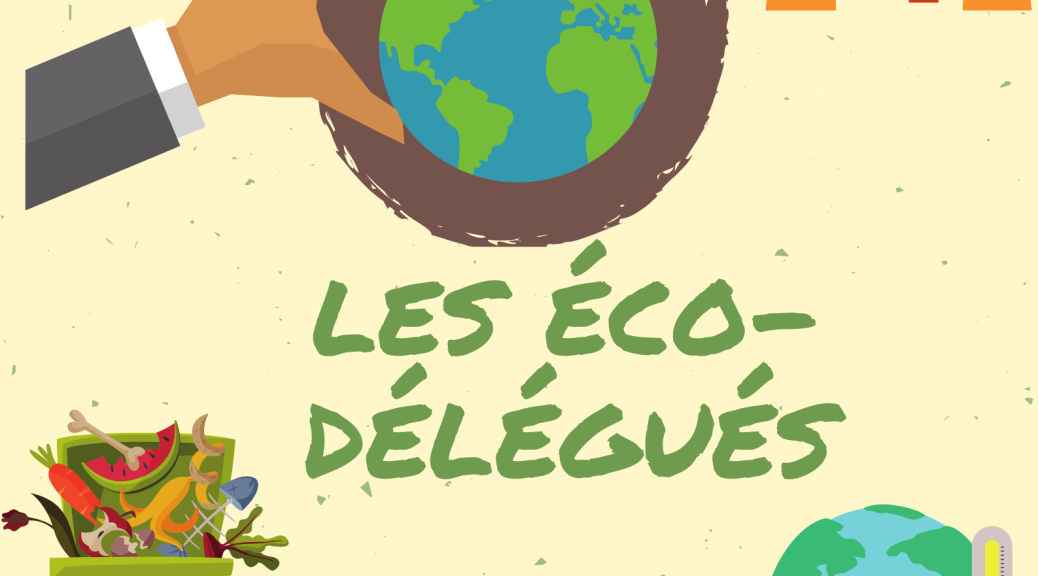 Lire la suite à propos de l’article Fin d’année ludique pour les éco-délégués !