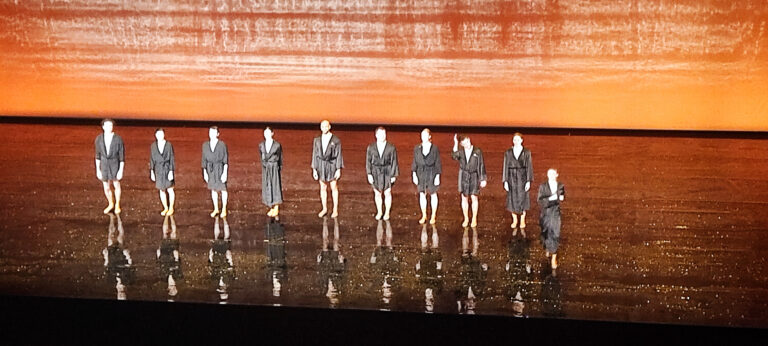 Lire la suite à propos de l’article Sortie à la MC2 : spectacle de danse « Didon et Enée « 