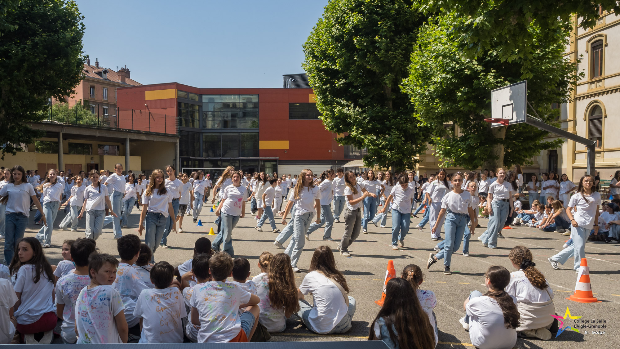 20250617-143059-Aigle