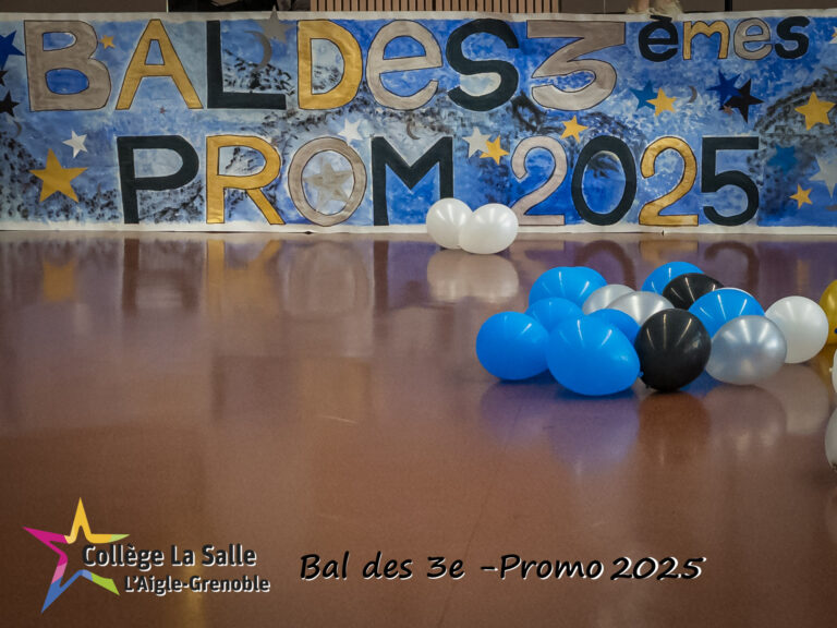 Lire la suite à propos de l’article Bal des 3e